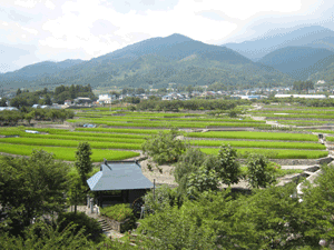 20080803-1.gif