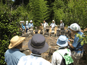 20080803-2.gif