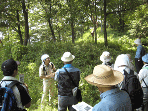 20080803-3.gif