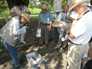 20080803-8.gif