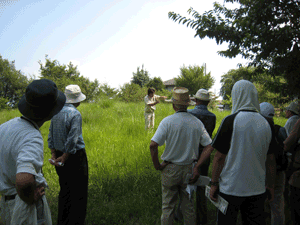 20080803-9.gif